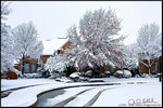 DigitalScape Photography